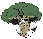 Tree Service Tampa Logo